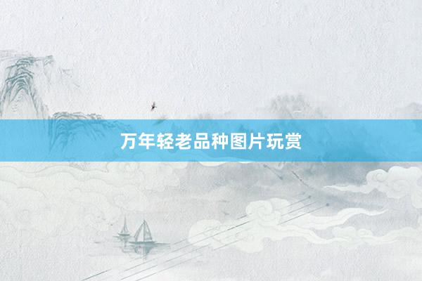 万年轻老品种图片玩赏