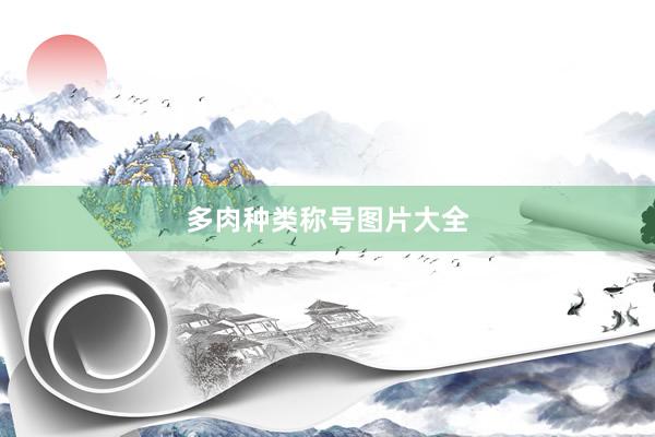 多肉种类称号图片大全