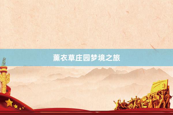 薰衣草庄园梦境之旅