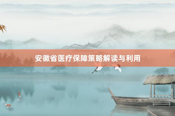安徽省医疗保障策略解读与利用