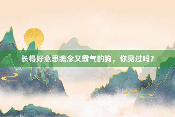 长得好意思瞻念又霸气的狗，你见过吗？