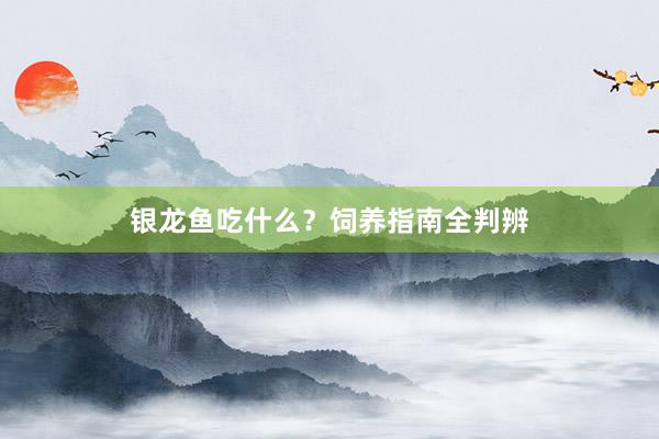 银龙鱼吃什么？饲养指南全判辨